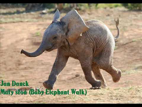 Jan Danek - Mały słoń (Baby Elephant Walk)