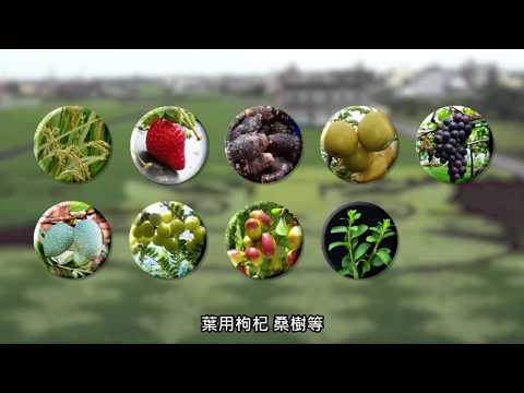 苗栗區農業改良場簡介