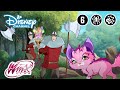 Winx Club | Magische Dieren Vangen | Disney Channel NL