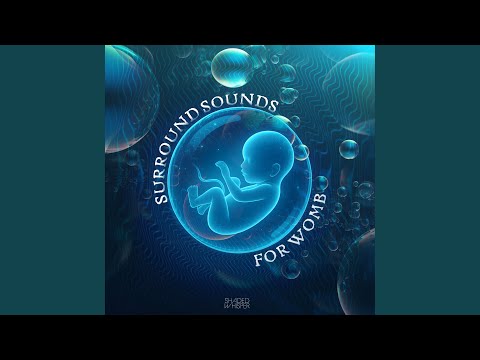 download lagu mp3 mp4 Womb Surround, download lagu Womb Surround gratis, unduh video klip Womb Surround