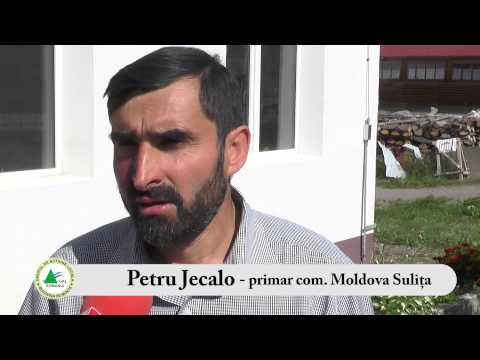 Gal Bucovina de Munte - Comuna Moldova Sulita