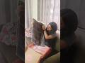 Koskii Saree Review Saree Shortvideo Youtubeshorts Shorts KoskiiYoutube Trending Subscribe