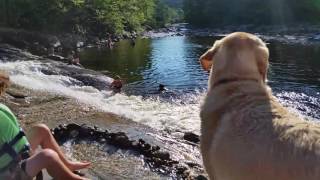 Independence Day Falls(4)