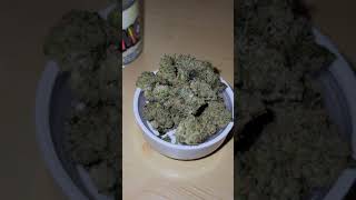 ZMO By Terphogz Zkittlez SevenLeaves