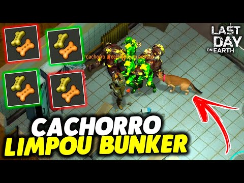 LEVEL 4 DOG CLEANED BUNKER WITH BISCUITS - Last Day On Earth