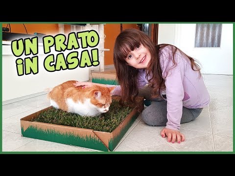 Un vero prato in casa per BIA 😍 Petzolla a sorpresa!