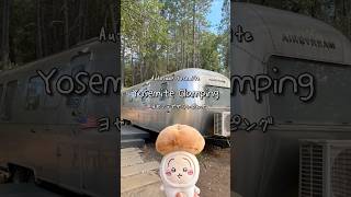 🇺🇸AutoCamp Yosemite|ヨセミテ国立公園でグランピング🏕️#yosemite #autocamp #glamping #ヨセミテ #グランピング #shorts