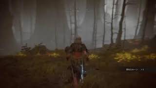 ELDEN RING 初めての魔術師ビルド ﾒｽﾒｽﾌﾚｲﾑ迂回します