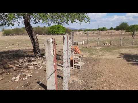 A terra onde fui criado, Mulungu Quixelô Ceará. 