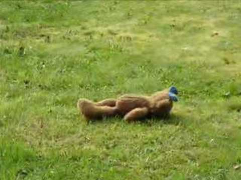 můj brácha má prima bráchu