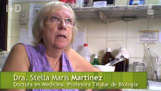 Conflictos éticos en la investigación científica