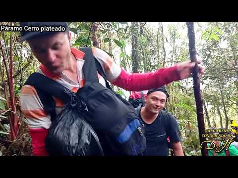 Páramo cerro plateado #salgar #Antioquia #Columbia
