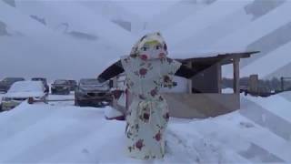 Триал рыбалка в чехове форум