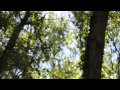 Rivers & Robots - Come Back / You See The Son ...