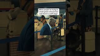 carnival cruise cracks down on green  #cruiseship #carnivalcruise #carnivalships #cruiseadventure