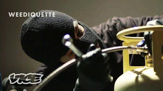 Making Weed Concentrates in an Underground Lab | WEEDIQUETTE