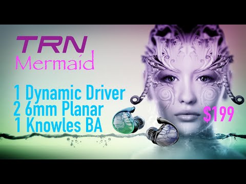 TRN Mermaid   A Special Fried Fish