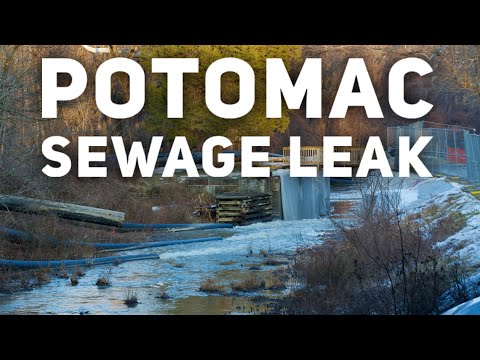 Checking out the Potomac Sewage leak