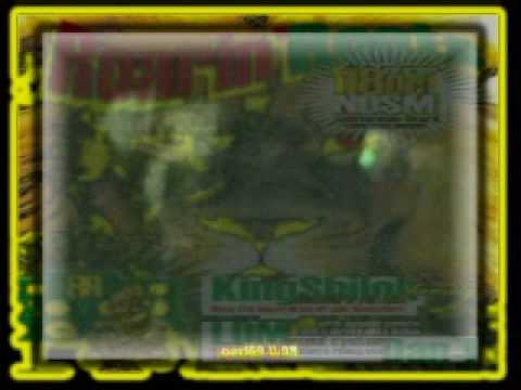 KING SHILOH SOUND ft jah rootz - royal Strong dub pt1 (Slimmah 1) @ I&I bunker A-dam 18-10-2008