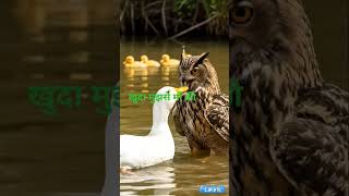 Download lagu khuda mujhse Maa ki Mohabbat mp3 Download lagu khuda mujhse Maa ki Mohabbat mp3