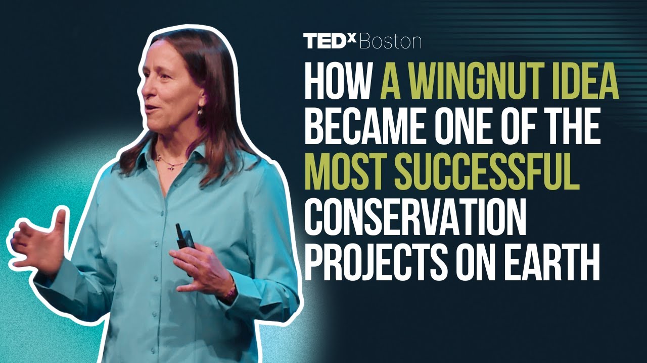Wildlife need room to roam. It's time to rethink conservation at scale. | Jodi Hilty | TEDxBoston