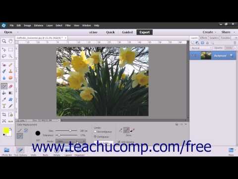 Photoshop Elements 13 Tutorial The Color Replacement...