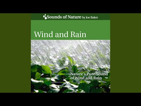 Wind and Rain