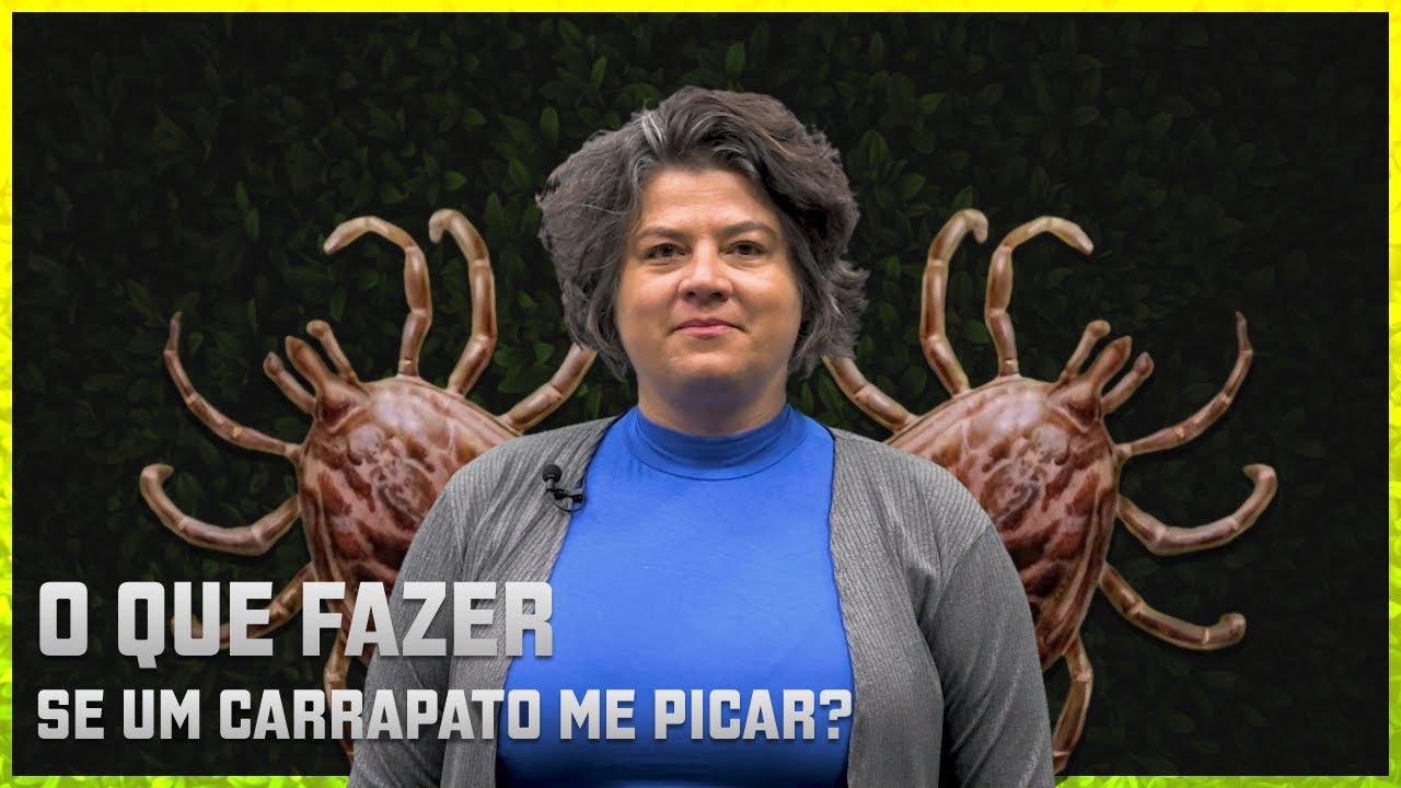 Quero saber: O que fazer se um carrapato me picar?