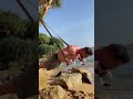 Effektives Brusttraining - Sling Trainer