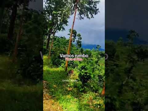 El Tumbador San Marcos #seguimi #musica #amor