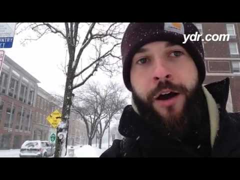 Ydrobits