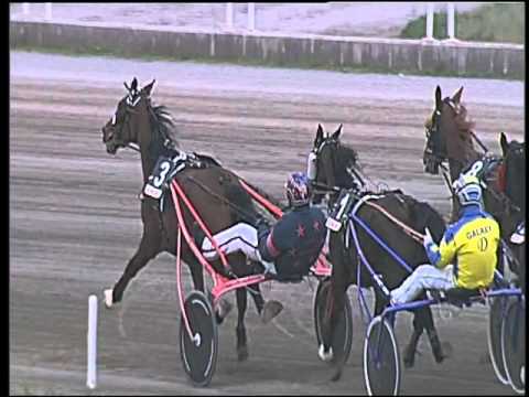 Trotto 28/02/2016 - 2° corsa