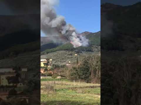 INCENDIO MONTE SERRA