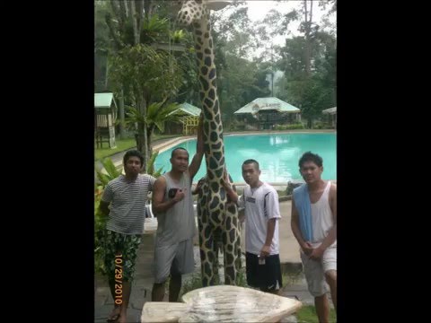 soul assassins group