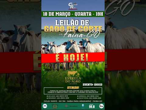 LEILÃO GADO DE CORTE ESTRELA DO AGRO LEILÕES  FAINA-GO 18/03/2026 | Leilão ao Vivo - Leilão de Gado