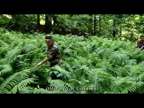 FHN Mətbuat xidmətinin məlumatı