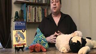 Dog Training - How To Be Your Dog&#39;s Alpha