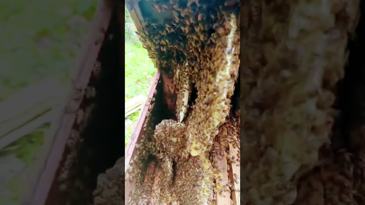 un descuido fatal#kpop #edit #viral #viralvideo #viralshorts #viralshort