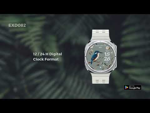EXD082: Spring Bird Face video thumbnail