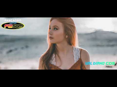 MEDLEY 2020 PANCADÃO FW SOM REGGAE REMIX I - Valdiano CDs