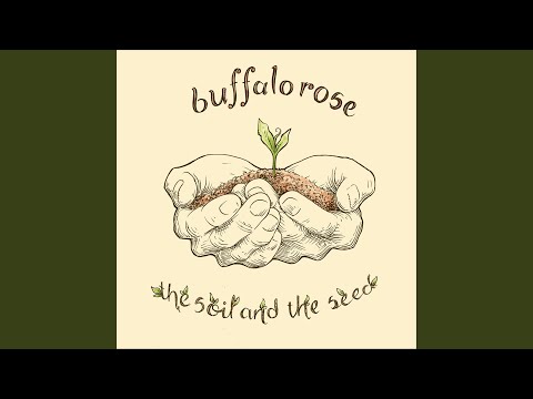 Buffalo Rose