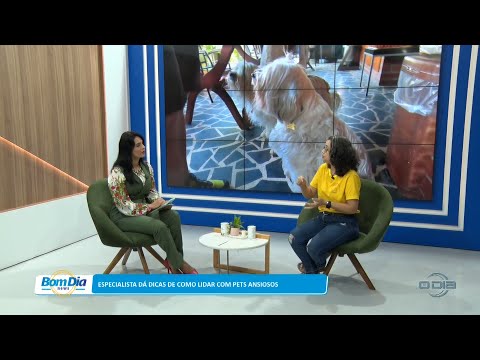 Especialista dá dicas de como lidar com pets ansiosos 27 02 2023