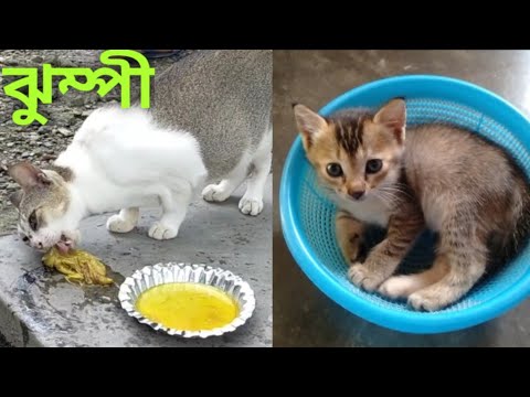 She is so beautiful and understanding ❤️❤️