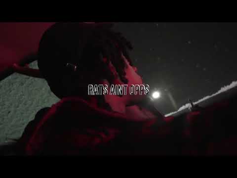 BIN SWANSON 🦢 - “RATS NOT OPPS” OFFICIAL VIDEO 🚫🐀 SHOT BY @PRIMEPRODUCTION (LORENZO RIDLEY BEY)