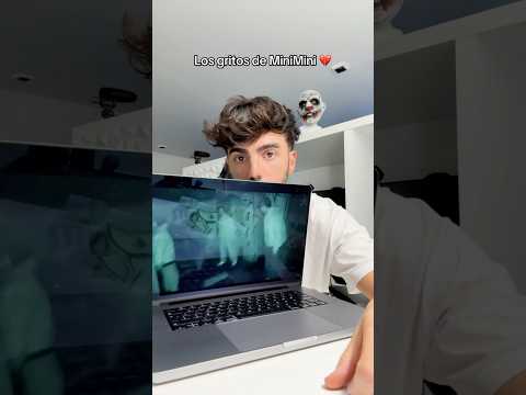 MiniMini sigue vivo?