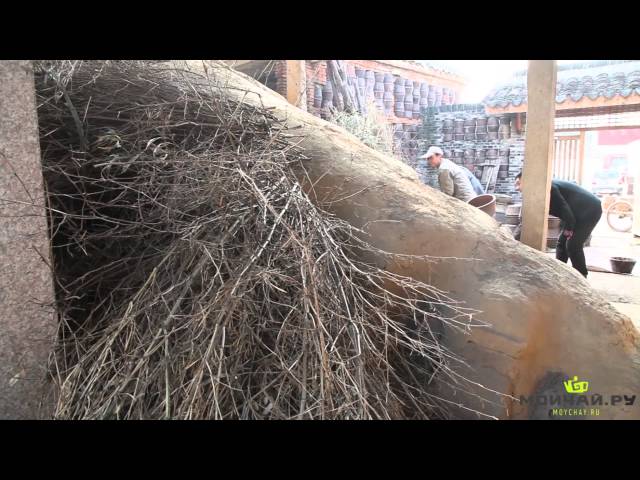 Исинская керамика. Yixing Ceramics. Часть 5. Древняя драконова печь (Гулуняо) исинская глина