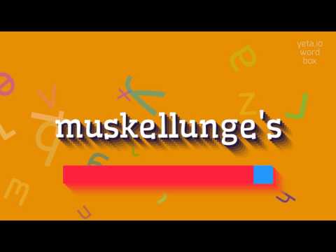 HOW TO SAY MUSKELLUNGE'S? #muskellunge's