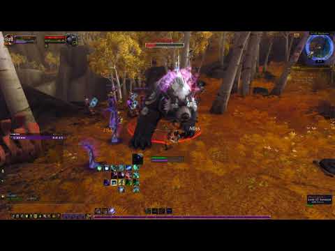 Hitting level 110 on my Demon Hunter by killing a rare