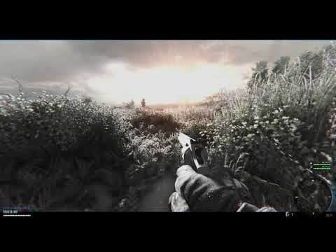 Stalker anomaly, got my great swamp looking great