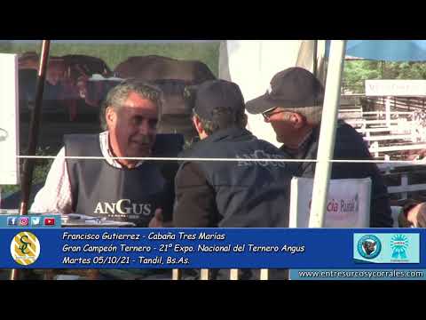 05-10-21 - Francisco Gutierrez - Cabaña Tres Marías - 21º Expo Nacional del Ternero Angus - Tandil